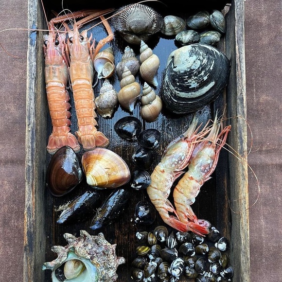 Meet your Posher, Cassandra - Picture 8 of 11